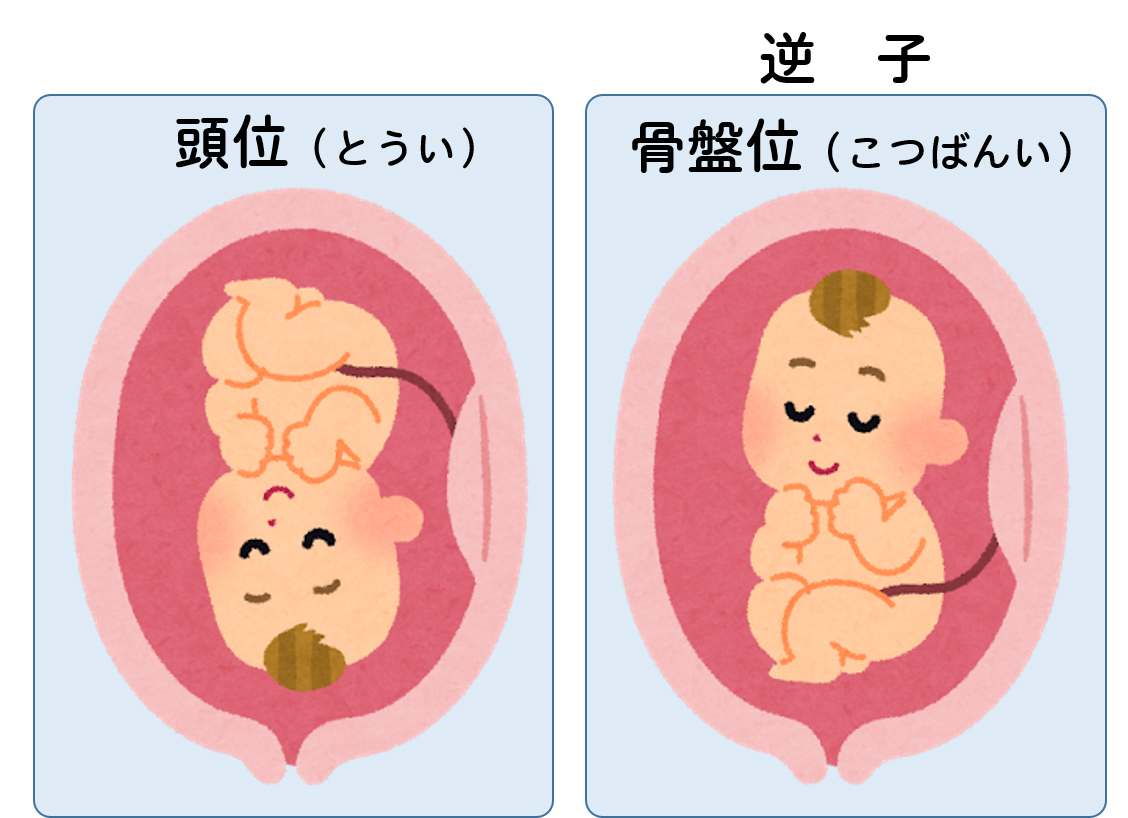 妊娠期の異常 飯田市立病院